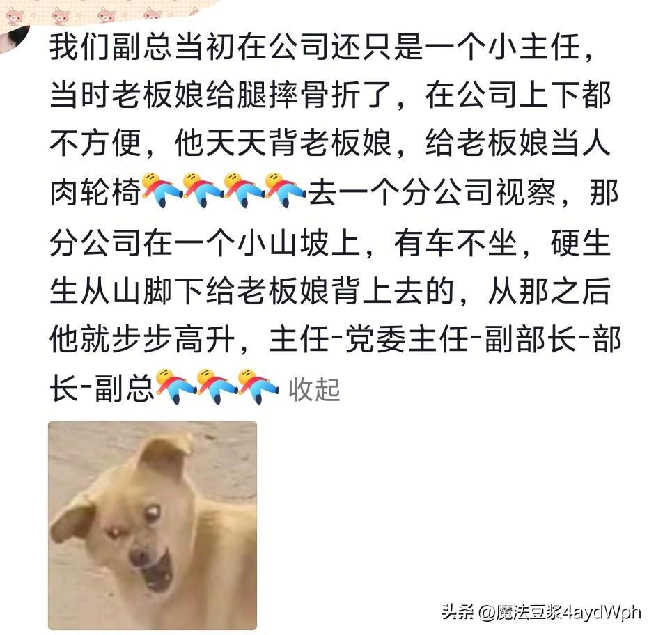 过分谄媚会显得特别真诚!网友:看完发现,我两千的工资一点不冤